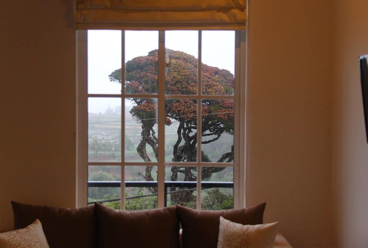 Tranquil Villa Nuwara Eliya Bagian luar foto