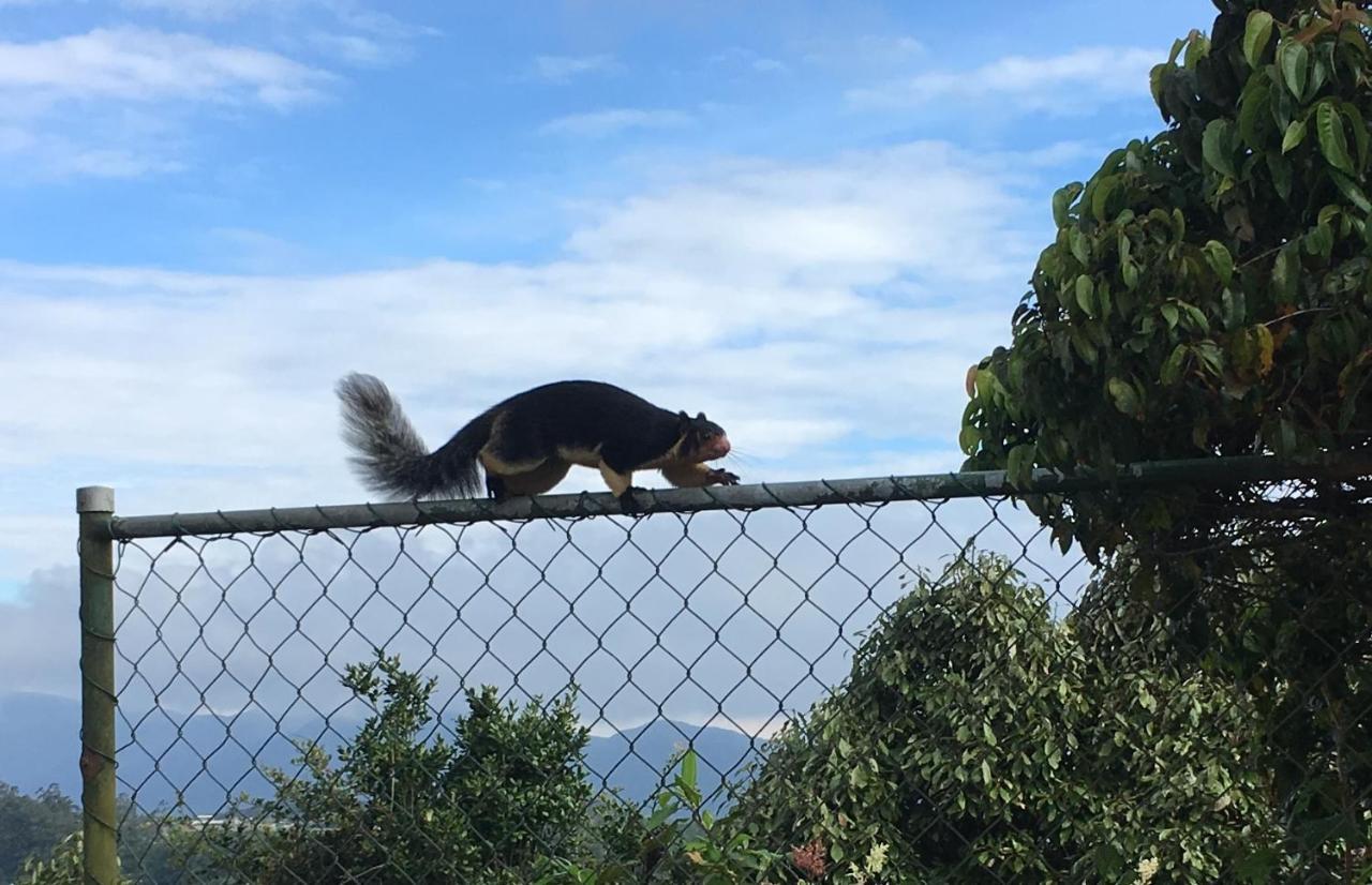 Tranquil Villa Nuwara Eliya Bagian luar foto